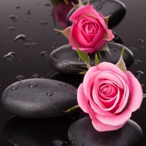 Meet your Posher, Bukurije